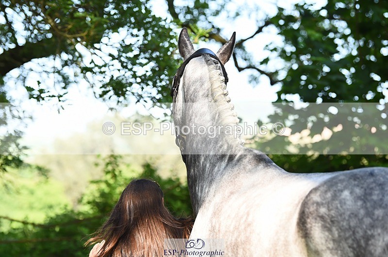 230524-170248-01253 - 130-CFH_DAKAR_HILL-Millie_Juleff-WEDTrotUp+DR