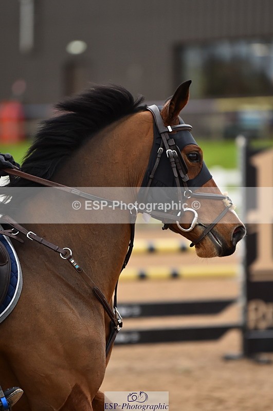 231028A-130002-01555 - Cls 4 Newcomers & 1m Open