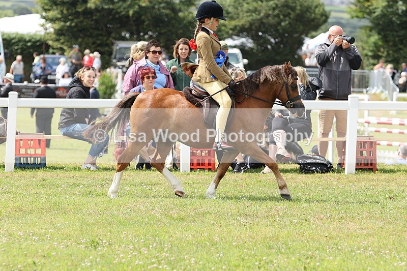 JPP_1618 - Cornish Combination Championship