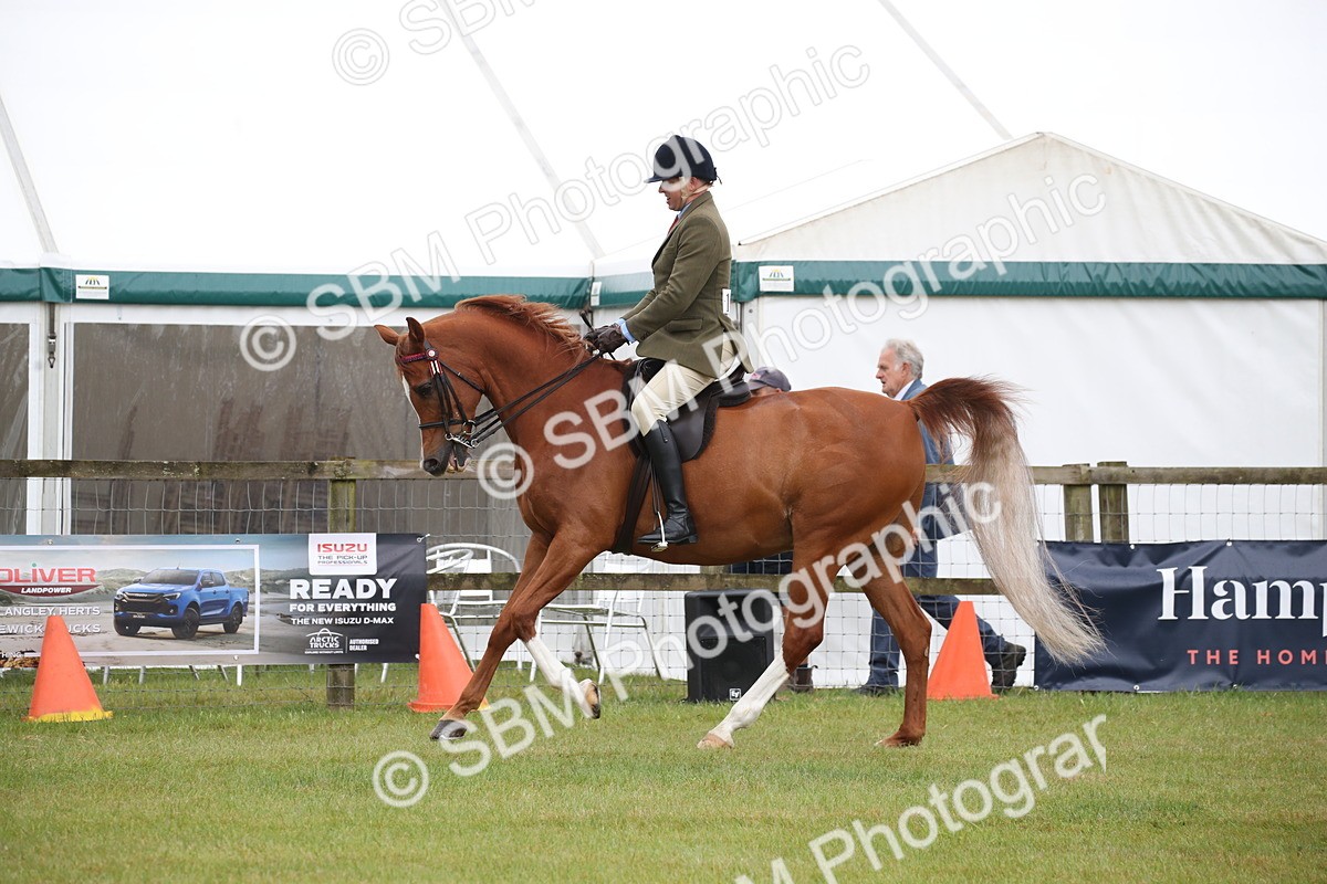 SBM_03638 - Class 21 - 22 - Ridden Arab and Part Bred/Anglo Arab