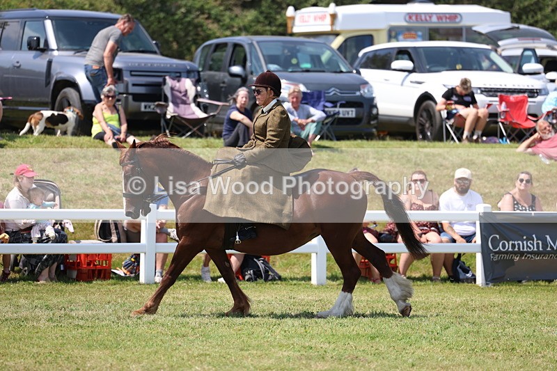 3E7A9729 - Class 13: Side Saddle