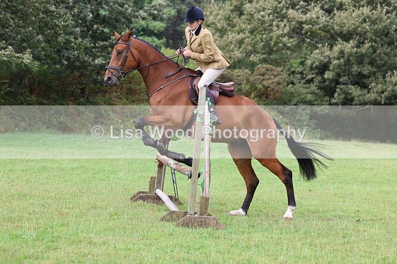 3E7A5823 - Class 26 and 27: 70cm Working Hunter