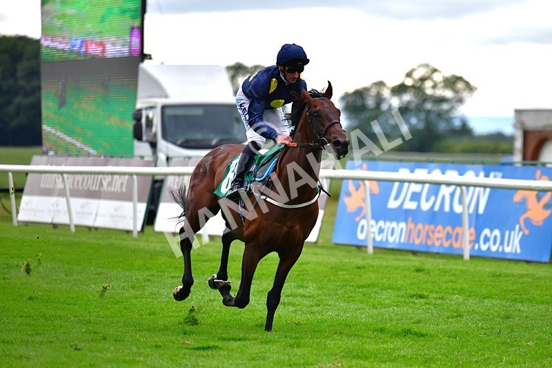 170625-Race 5-Blue RC-4013 - Race 5