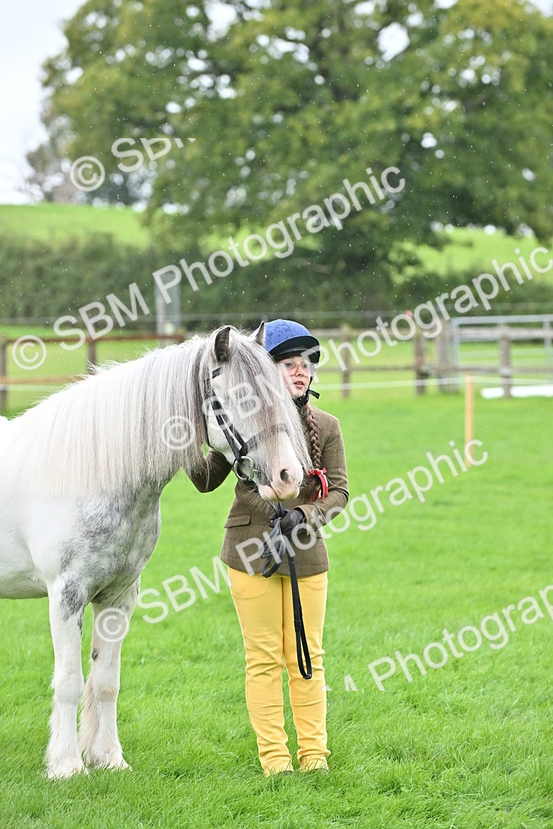 SBM_68611 - S42 - Junior Handler 9-12 Years