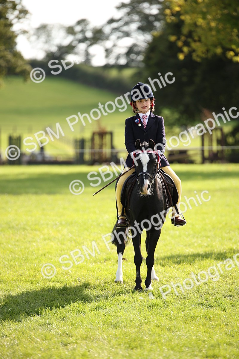 SBM_50140 - S26 - Young Veteran - Ridden