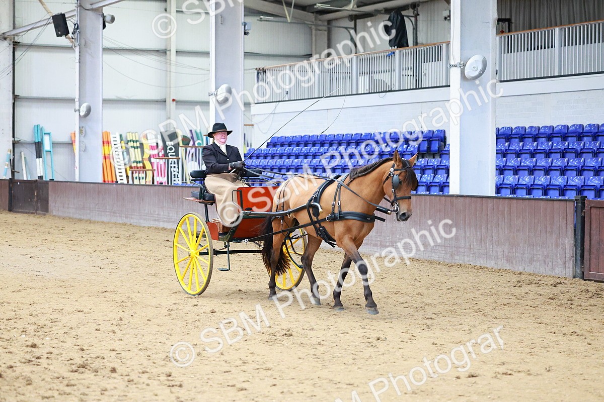 SBM_001052 - Class 15 - Open Showmans Class