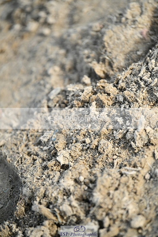 251004A-163912-02153 - Classes 10 & 11 80cm