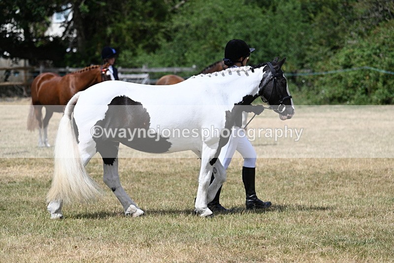 WJ7_1723 - Class 4 Prettiest Mare up to 14.2hh in hand