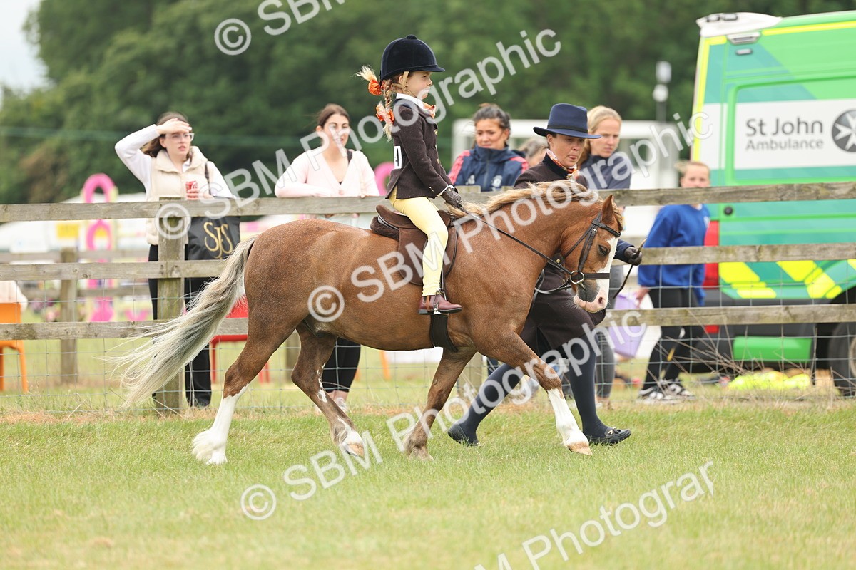 SBM_06720 - Class 74-75 - M&M Lead Rein and First Ridden Pony
