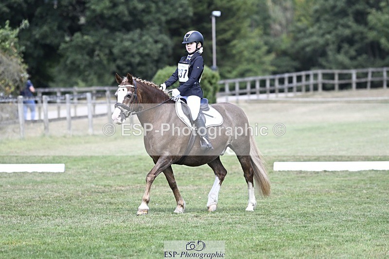 250821A-123347-15588 - DR 11.00 to 12.00