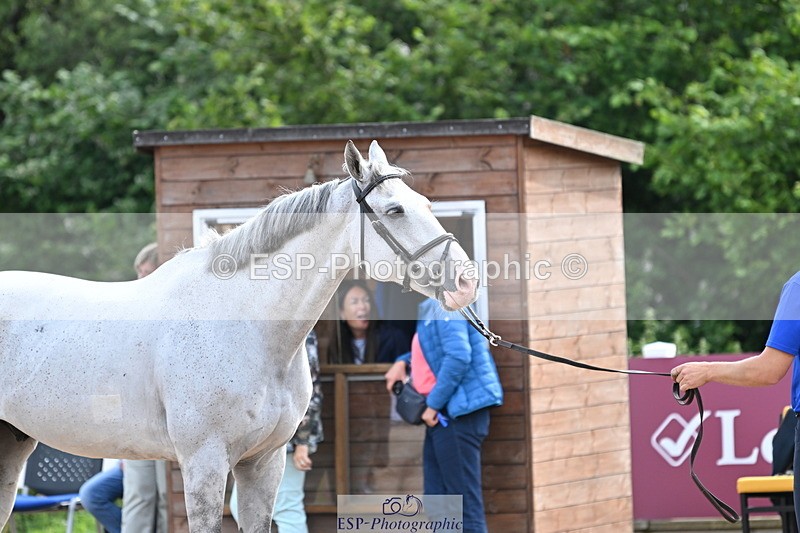 240717A-164337-03501 - Trot Up 4pm to 5pm