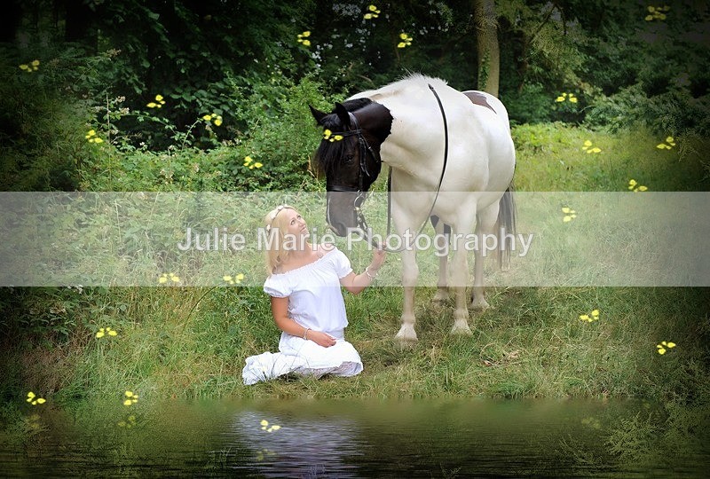 DSC_4673o - Equine Photography