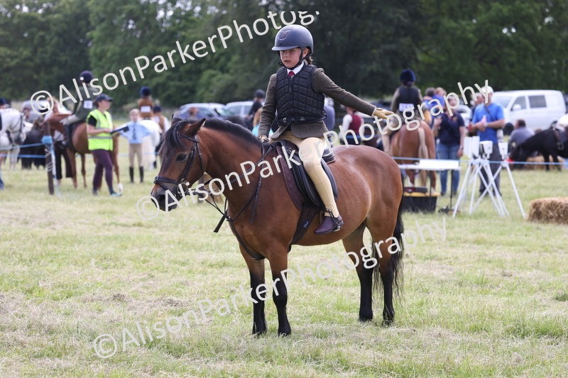 20260614-1842 - Class 21 - Novice Working Hunter Pony