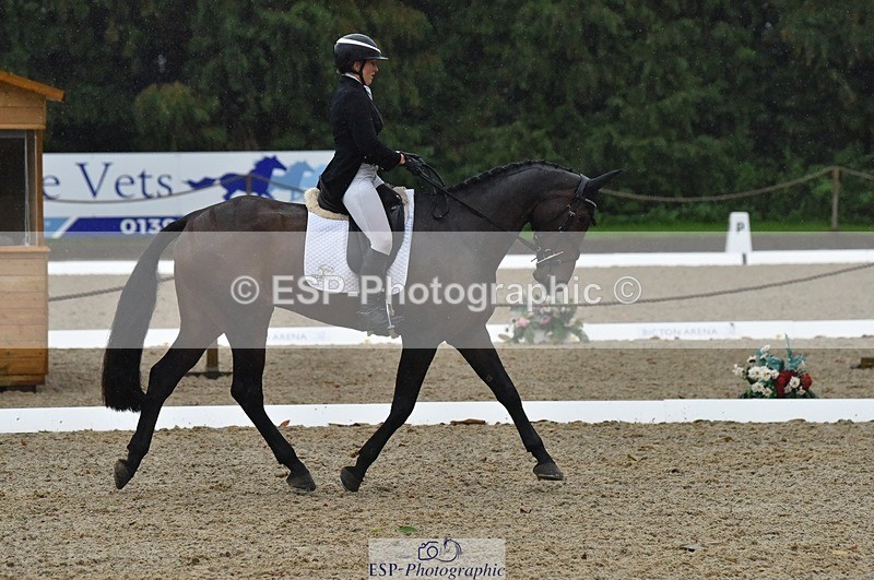 231018-154308-00857 - 012-ROMANY.CRICKET-Nana.Dalton-DR