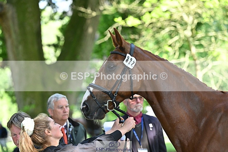 250521A-153809-00653 - B-322-Amelia.Winter-WOLK