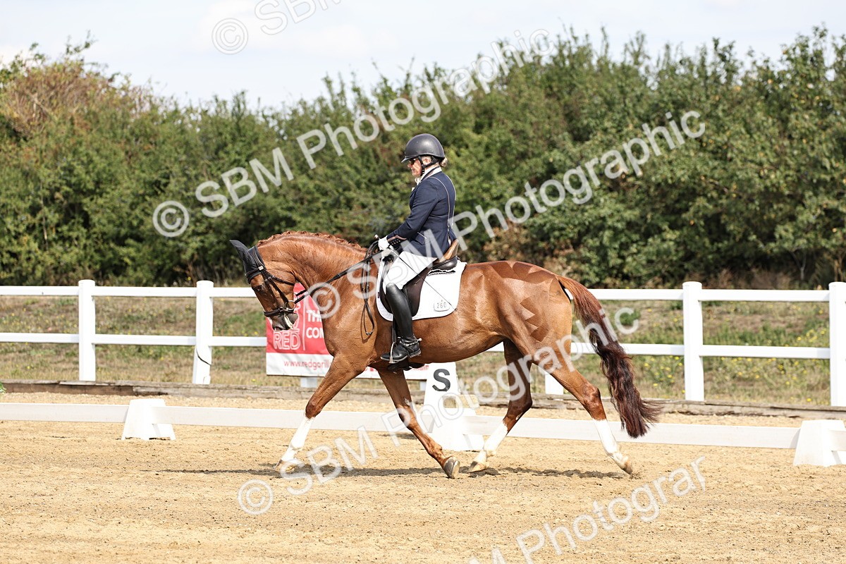 SBM_017479 - Class 12-14 - Intro 2-Prelim 5