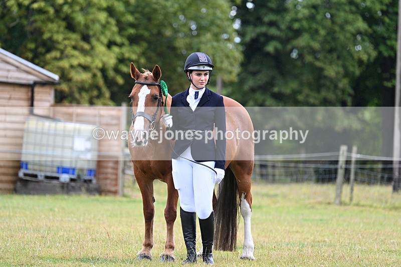 WJ7_6420 - Class 4a Prettiest Mare over 14hh