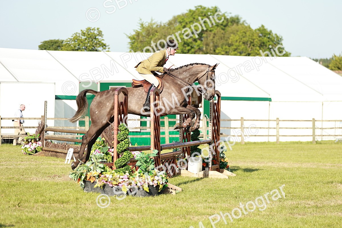 SBM_20148 - Class 117-119 - Sport Horse Working Hunter