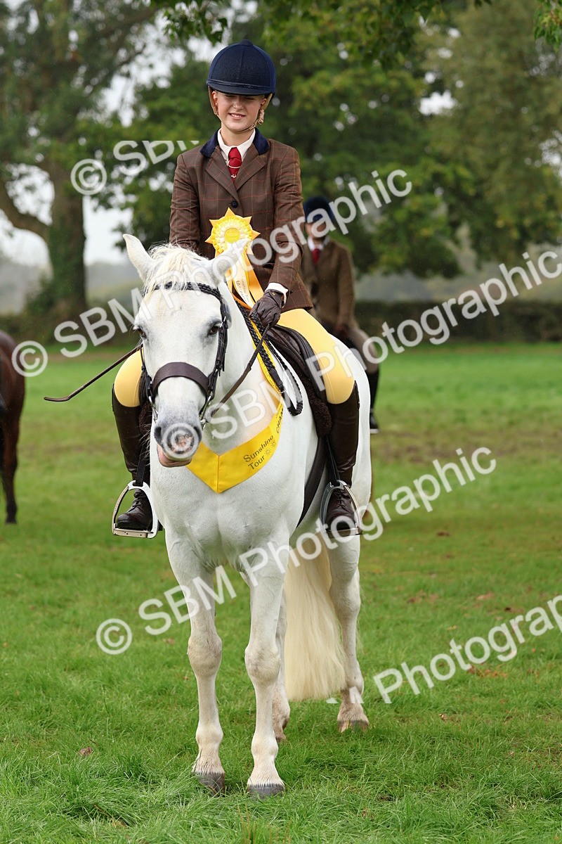 SBM_69739 - S62 - Mountain & Moorland Ridden Large Breeds