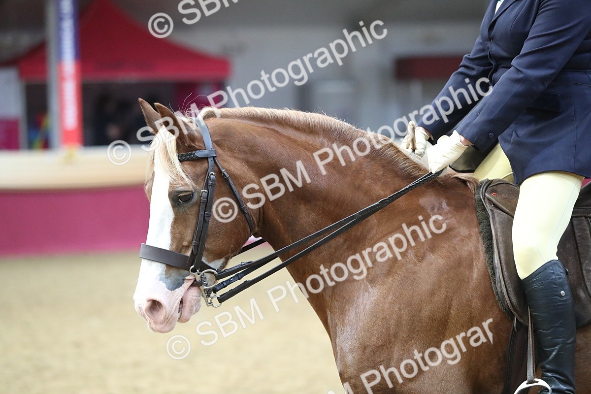 SBM_16449
