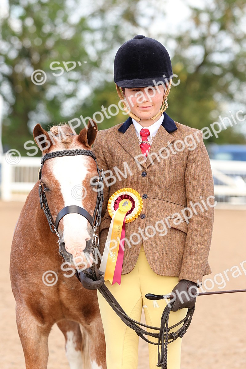 SBM_09248 - Class 204 - Young Handler