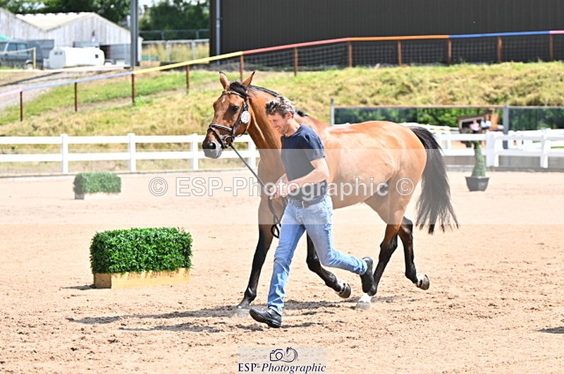 240718A-105242-01045 - Trot Up 11am to 12pm