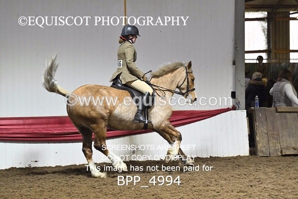 BPP_4994 - CLASS 3 40CM