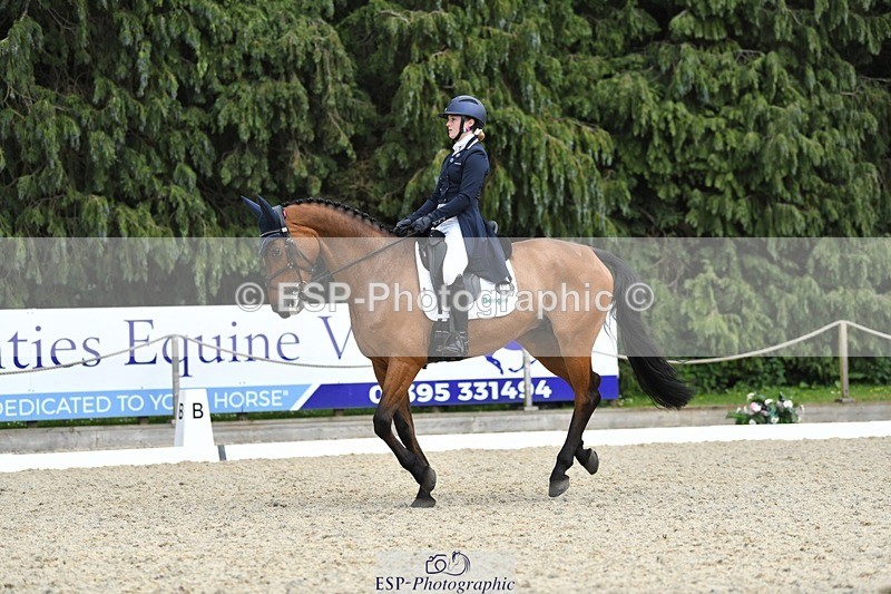 230525-154342-03295 - 329-VINTAGE_GRAFFITI-Alice_Hallows-WEDTrotUp+DR