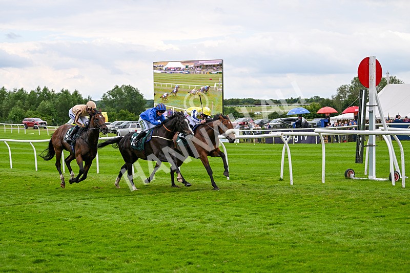 180624-Race 4-Animate-0447 - Race 4