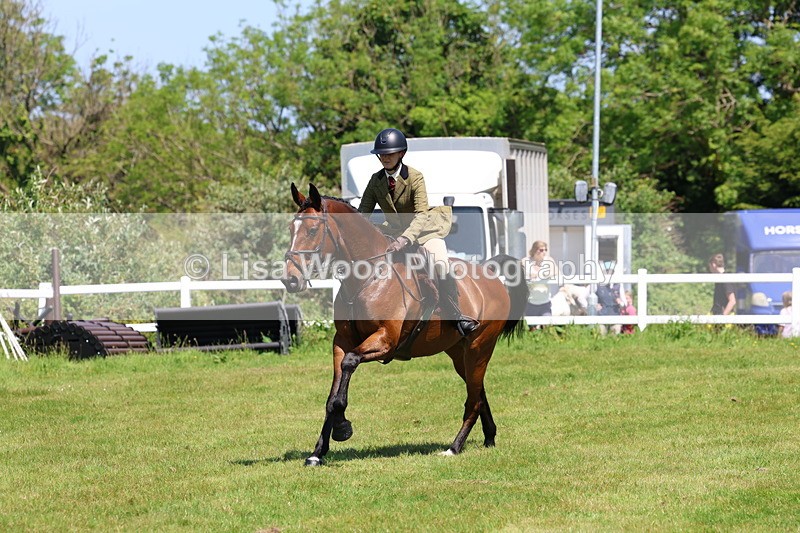 3E7A7288 - Class 30: Novice Working Hunter