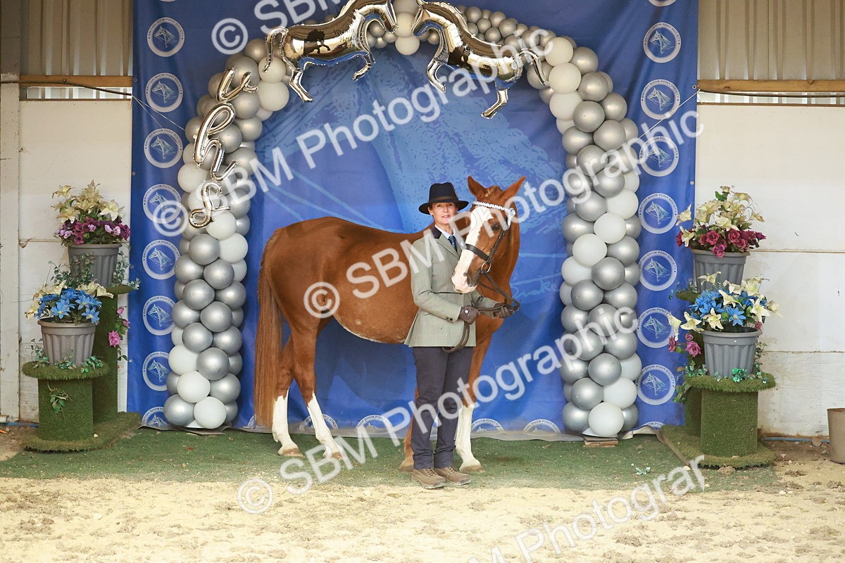 SBM_13728 - Class 104 - IH  Costume