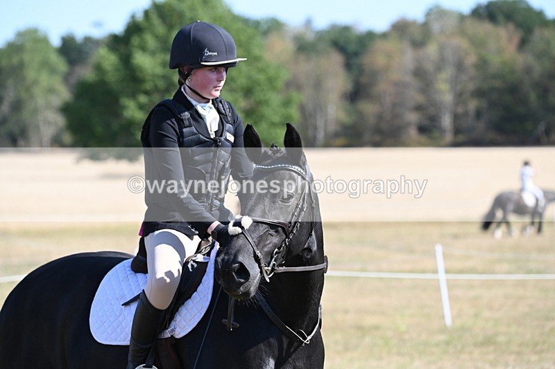 WJ6_7613 - Class 34 Judges Choice