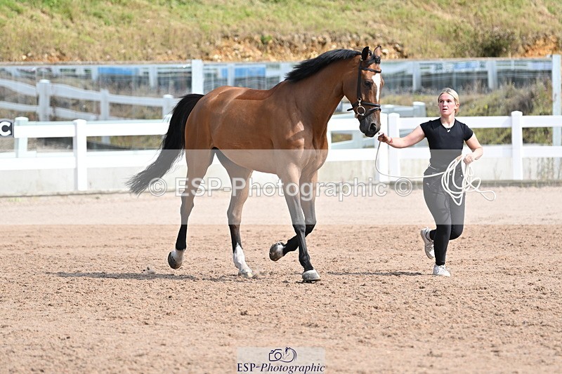 240717A-160209-03269 - Trot Up 4pm to 5pm