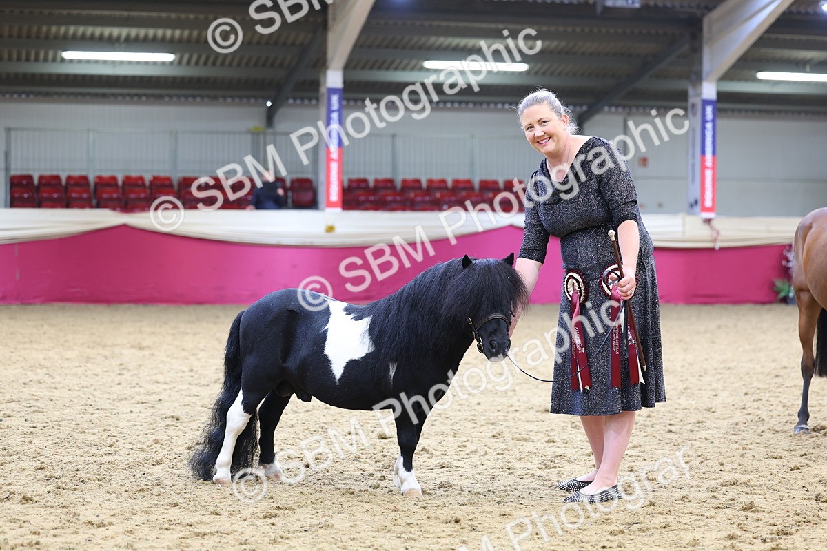 SBM_23031 - Class 903 - Supreme Final - IH Pre Vet