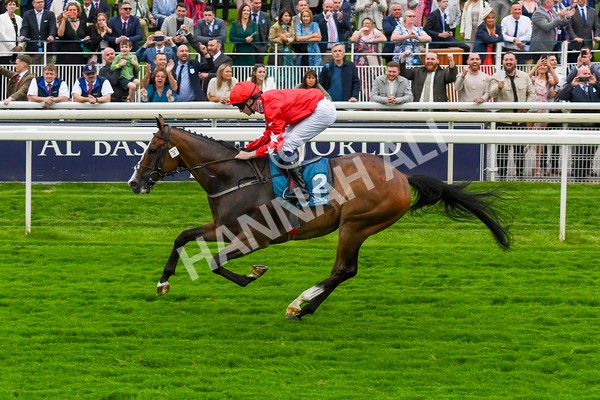 280723-Race 6-Spirit Dancer-0671 - Race 6 7.50pm Sky Bet Extra Places Every Day Handicap