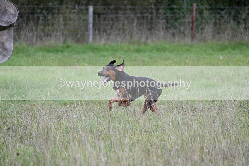 WJ7_3528 - Camera 1 Line 1