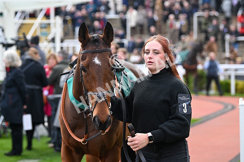 161124-Race 3-Paddock-Breizh River-9882 - Race 3