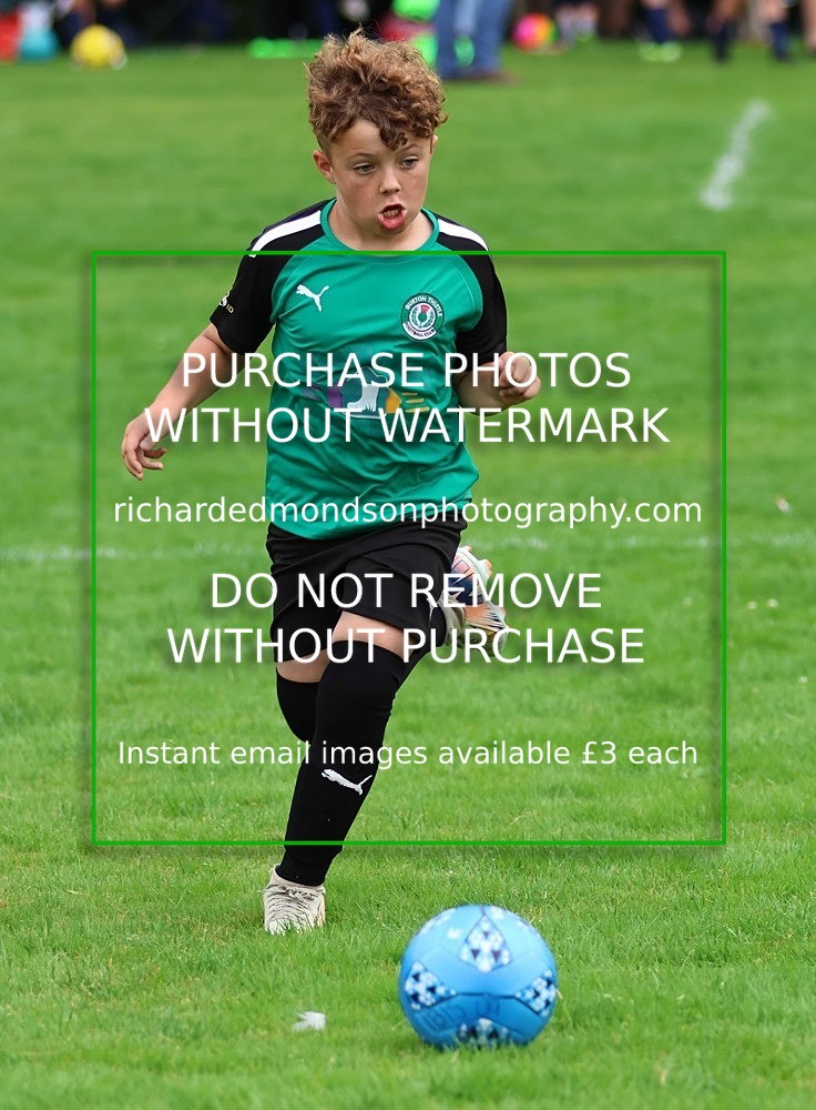533A7930 - Burton Thistle
