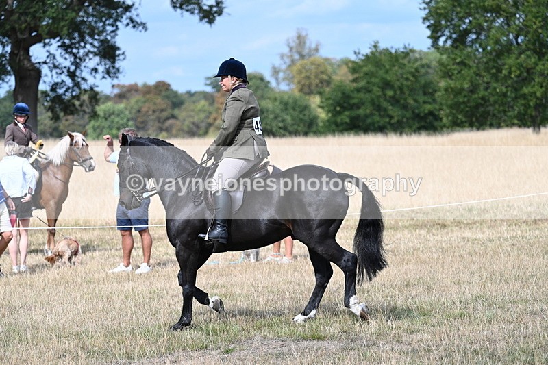 WJ7_5873 - Class 13 Ridden Veterans