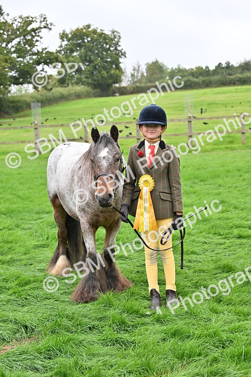 SBM_68660 - S42 - Junior Handler 9-12 Years