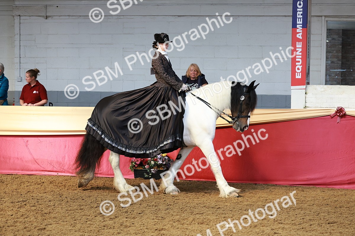 SBM_13666 - Class 106 - Ridden Costume -Astride Adult (15-19)