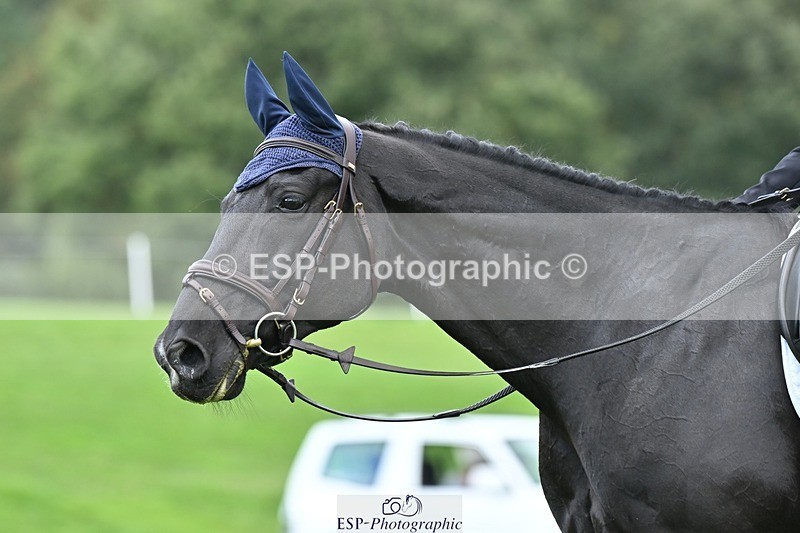 231020-143403-10929 - 666-PENDAN.NEVADA-Hannah.Tweedy-DR