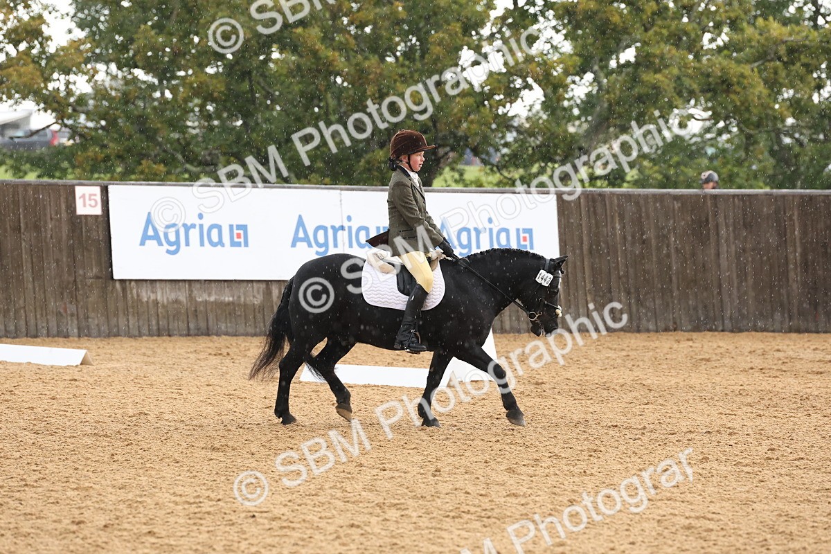 SBM_00616 - D1 - Small Tour Championship Intro 1