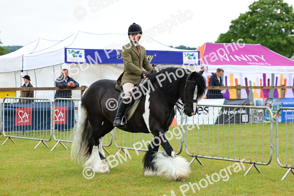 SBM_01118 - Class 1-4 - BSPA Ridden