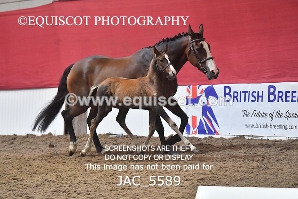 JAC_5589 - 13 Zi Real McCoy