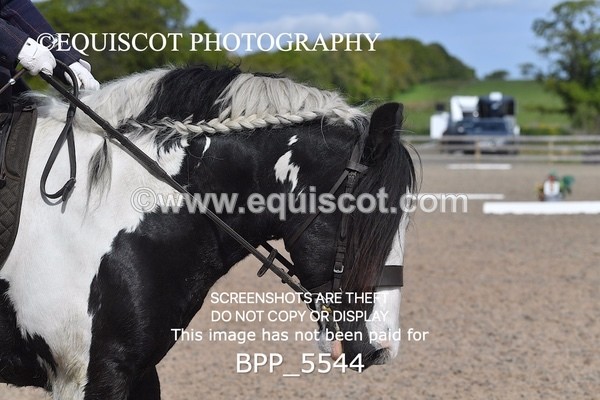 BPP_5544 - 4 L DENHOLM