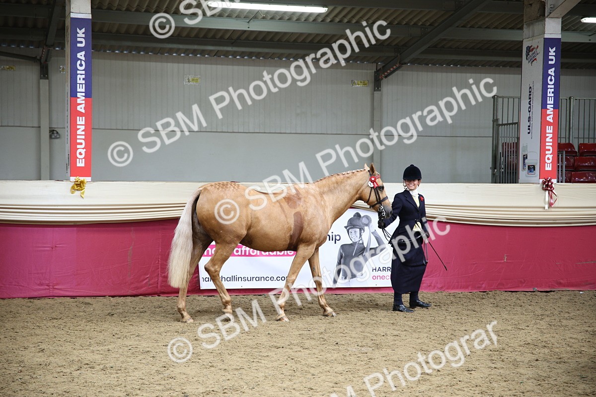 SBM_24752 - Class 906 - Supreme Final - Ridden Pre Vet