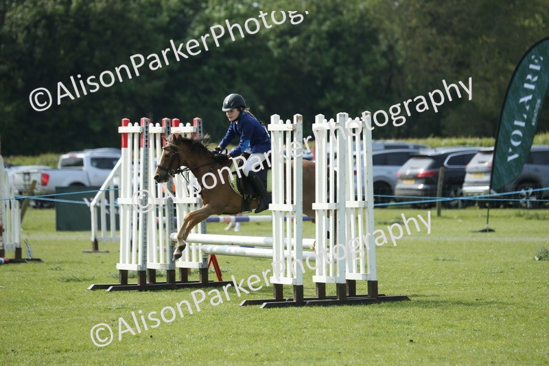 20260426-1584 - Class 14 - Novice 60cm