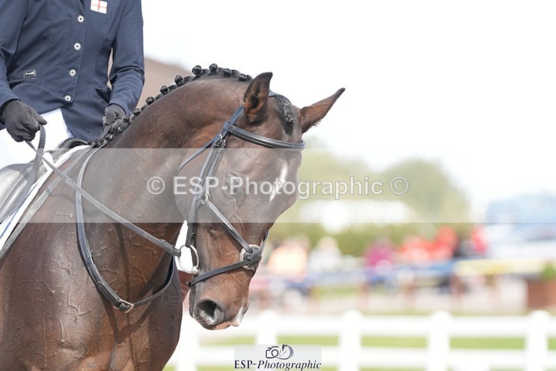 250906-141439-03898 - 068-Emma.LeedingViaduct