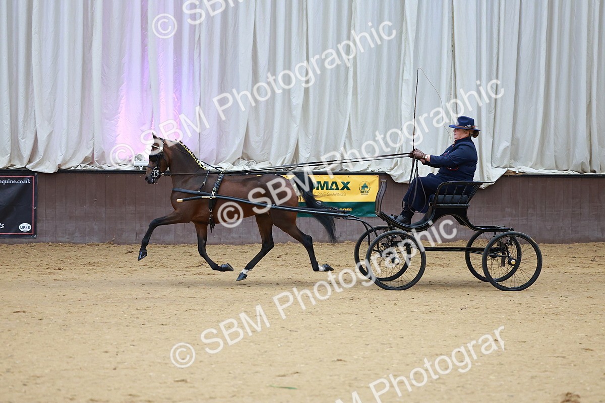 SBM_000633 - Class 9 - HHS Championship Intl Hackney Pony to a Showwagon